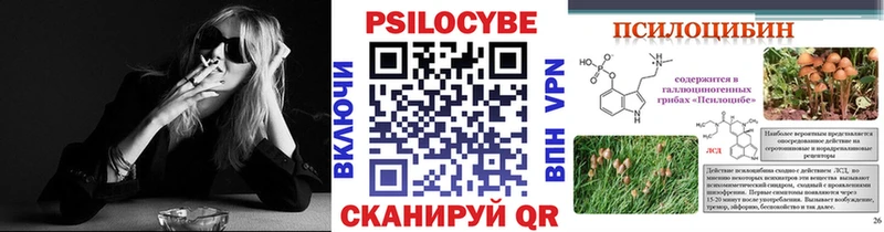 Псилоцибиновые грибы MAGIC MUSHROOMS  Купить  Павловский Посад 